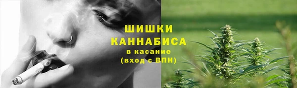 PSILOCYBIN Краснослободск