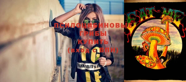 PSILOCYBIN Краснослободск