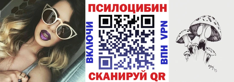 KRAKEN зеркало  Нальчик  Псилоцибиновые грибы прущие грибы  где купить наркоту 